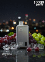 Pod Salt 10000 Puffs - Image 8