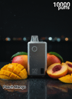 Pod Salt 10000 Puffs - Image 6