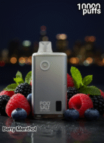 Pod Salt 10000 Puffs - Image 11