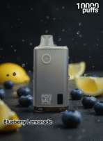 Pod Salt 10000 Puffs - Image 9