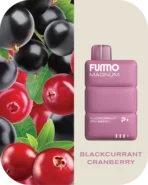 Fumo Magnum 8000 Puffs - Image 19