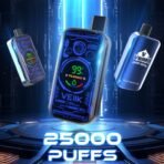 VEIIK Micko Space 25000 Puffs
