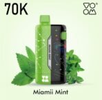 VOOM METEOR 70000 Puffs - Image 10