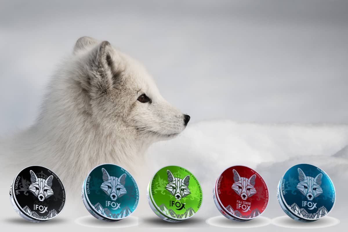 IMG-20250917-WA0137 White Fox Nicotine Pouches - Image 1