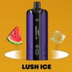 Al Fakher Crown Bar 15000 Puffs - Image 11