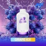 JNR LionKing 50000 Puffs - Image 19